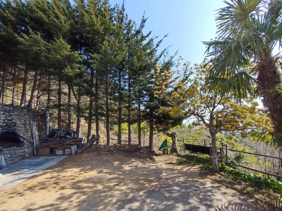 Гостевой дом Detached House With Garden And Sea View Санремо Экстерьер фото