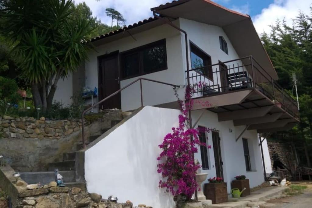 Гостевой дом Detached House With Garden And Sea View Санремо Экстерьер фото